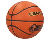 Basketball & Basketball Accessories: Century All-Surface Laminated Size 7 Basketball Indoor/Outdoor BBall