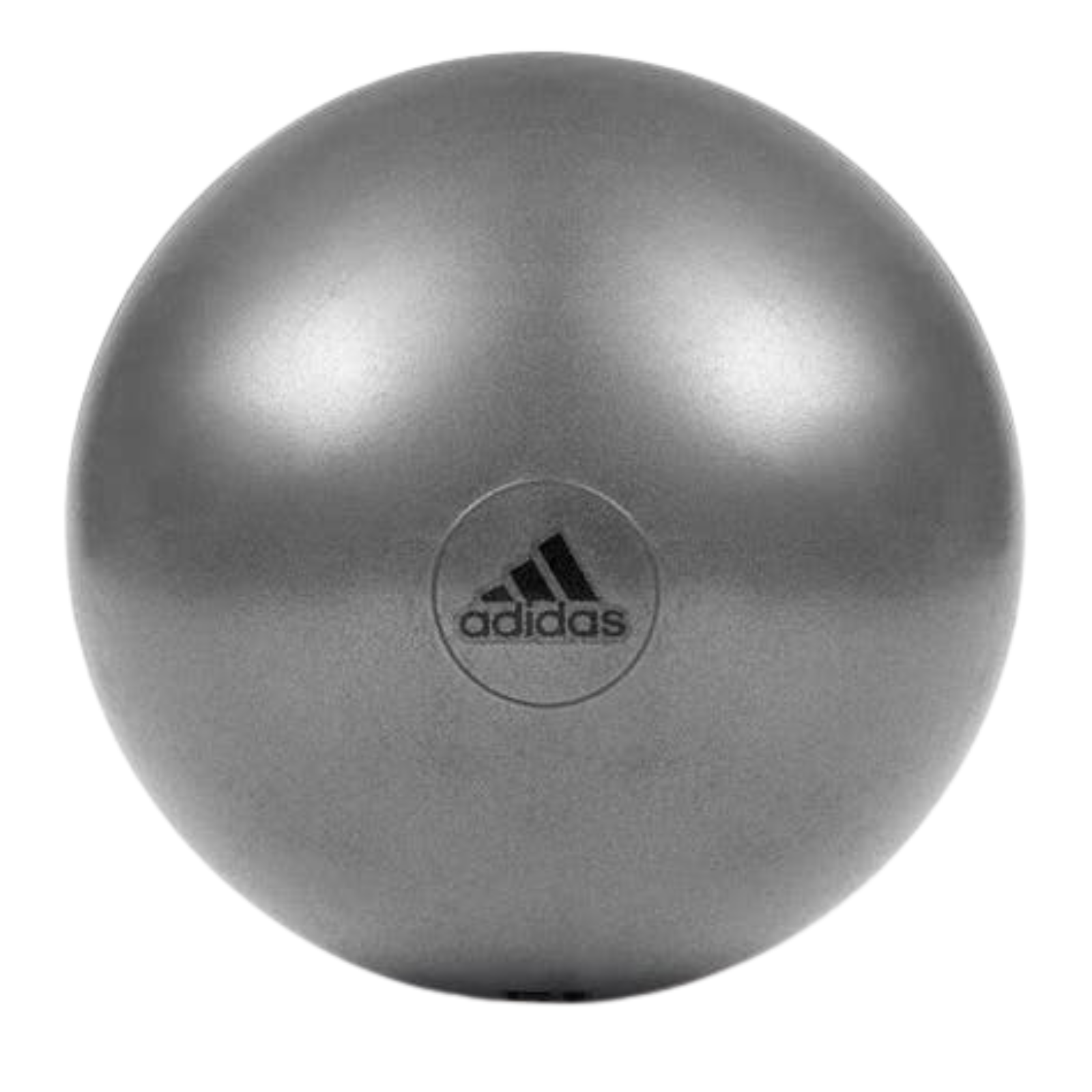 Medicine Balls: Adidas Gym Ball with Pump Exercise Yoga Fitness Pilates Birthing Training 55cm