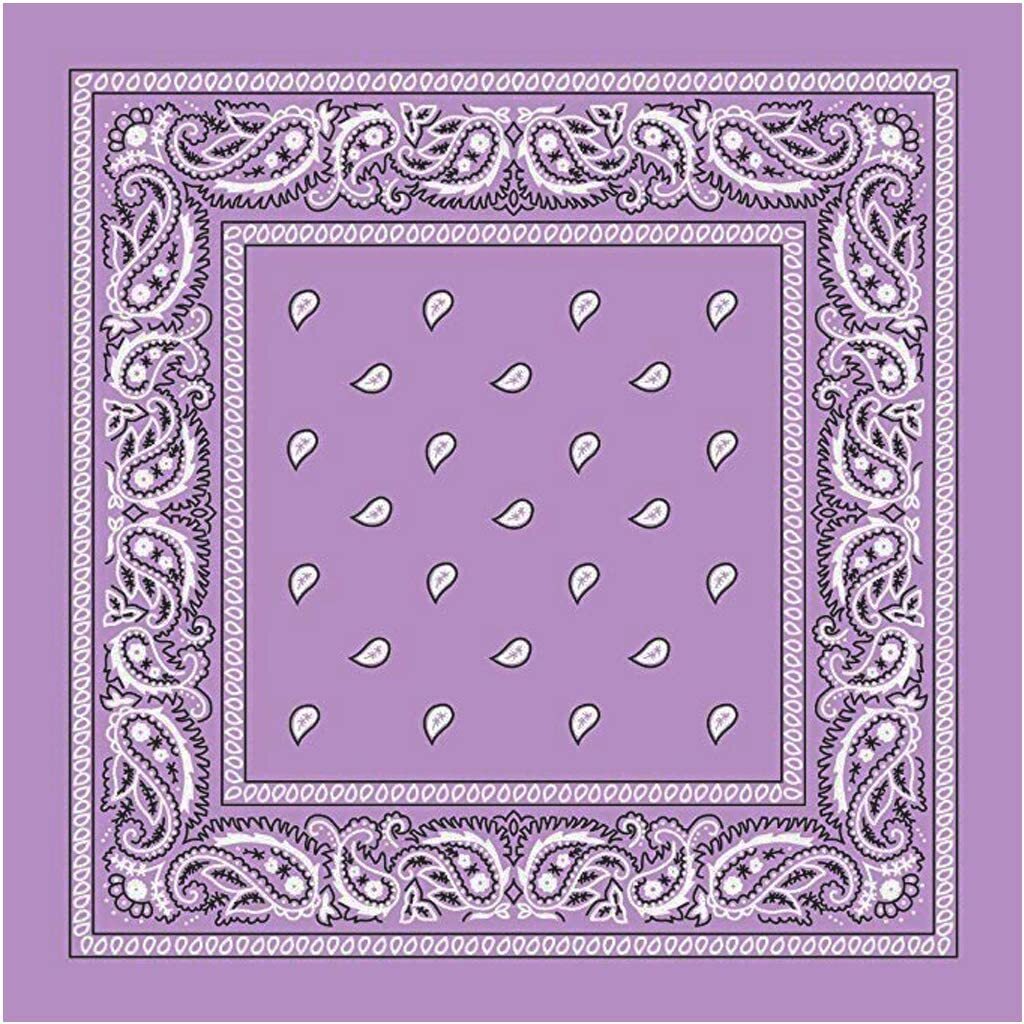Costumes & Accessories: BANDANA Paisley 100% COTTON Head Wrap Durag Bandanna Summer Biker Scarf Mask - Lilac