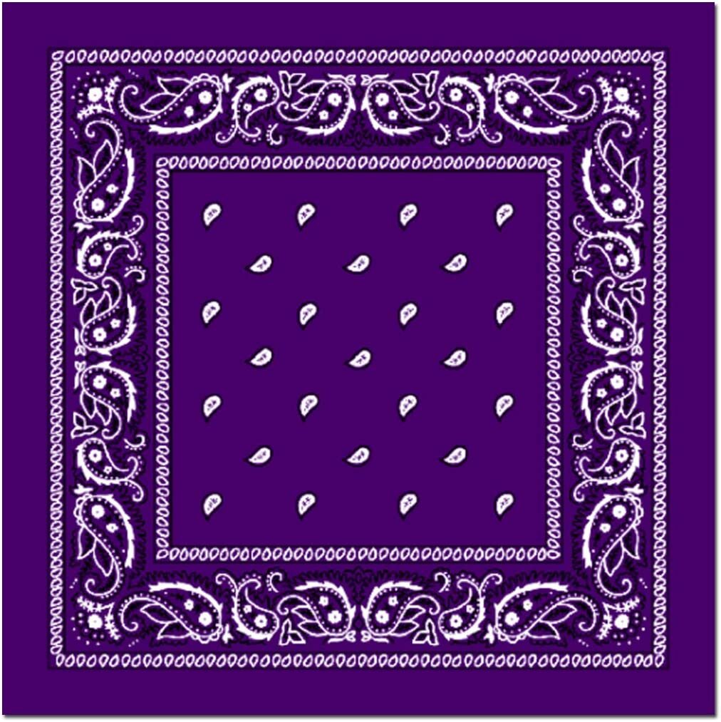 Costumes & Accessories: BANDANA Paisley 100% COTTON Head Wrap Durag Bandanna Summer Biker Scarf Mask - Purple