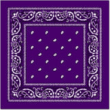 Costumes & Accessories: BANDANA Paisley 100% COTTON Head Wrap Durag Bandanna Summer Biker Scarf Mask - Purple