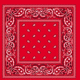 Costumes & Accessories: BANDANA Paisley 100% COTTON Head Wrap Durag Bandanna Summer Biker Scarf Mask - Red