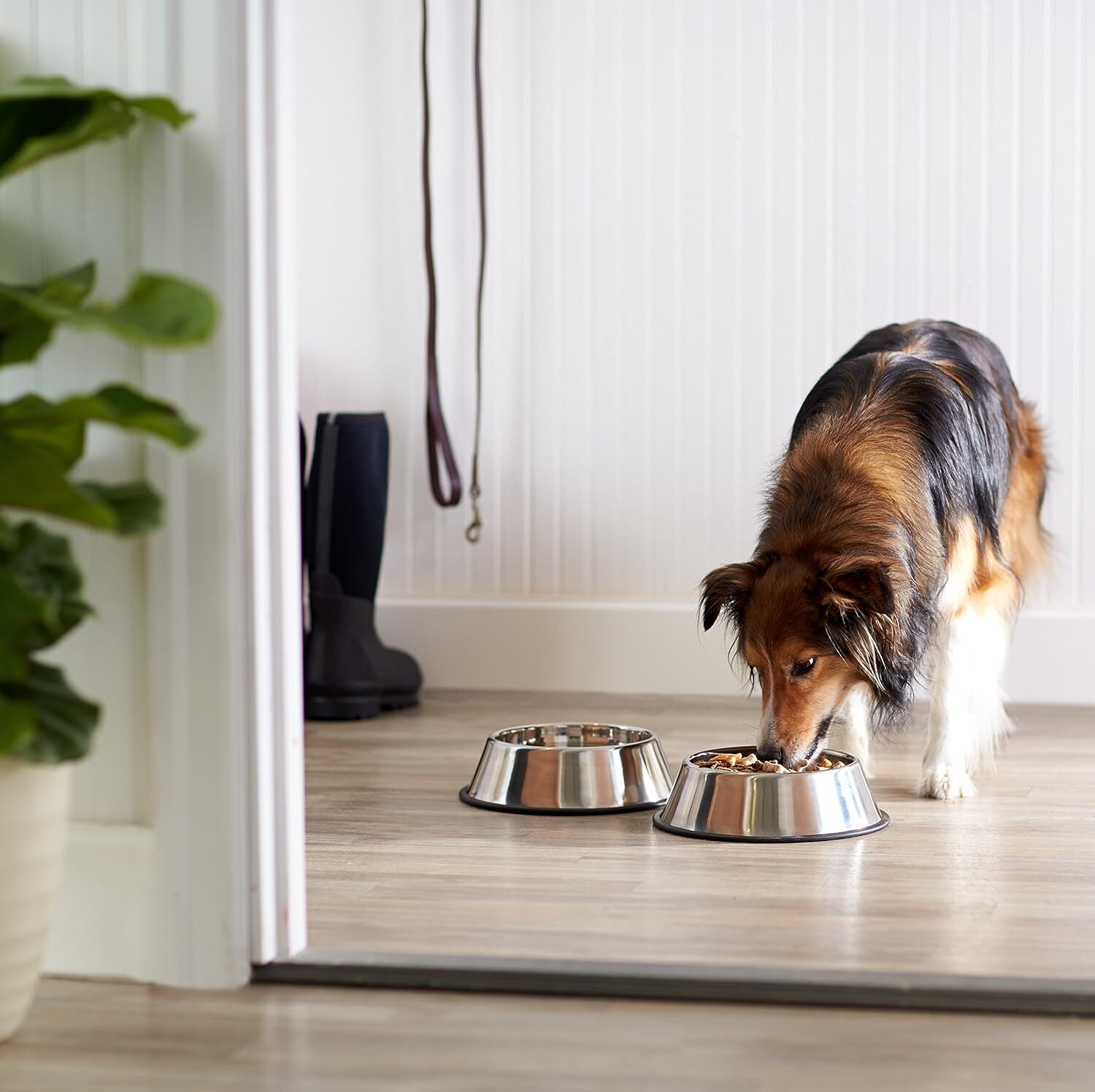 Non Slip Stainless Steel Dog Bowl Pet Cat Water Food Feeder Portable Puppy Dish - XX-Large (1 Litre)