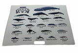 Wallpaper: TYPES OF WHALES A4 Matte Laminated Poster Print Fish - 210mm x 297mm