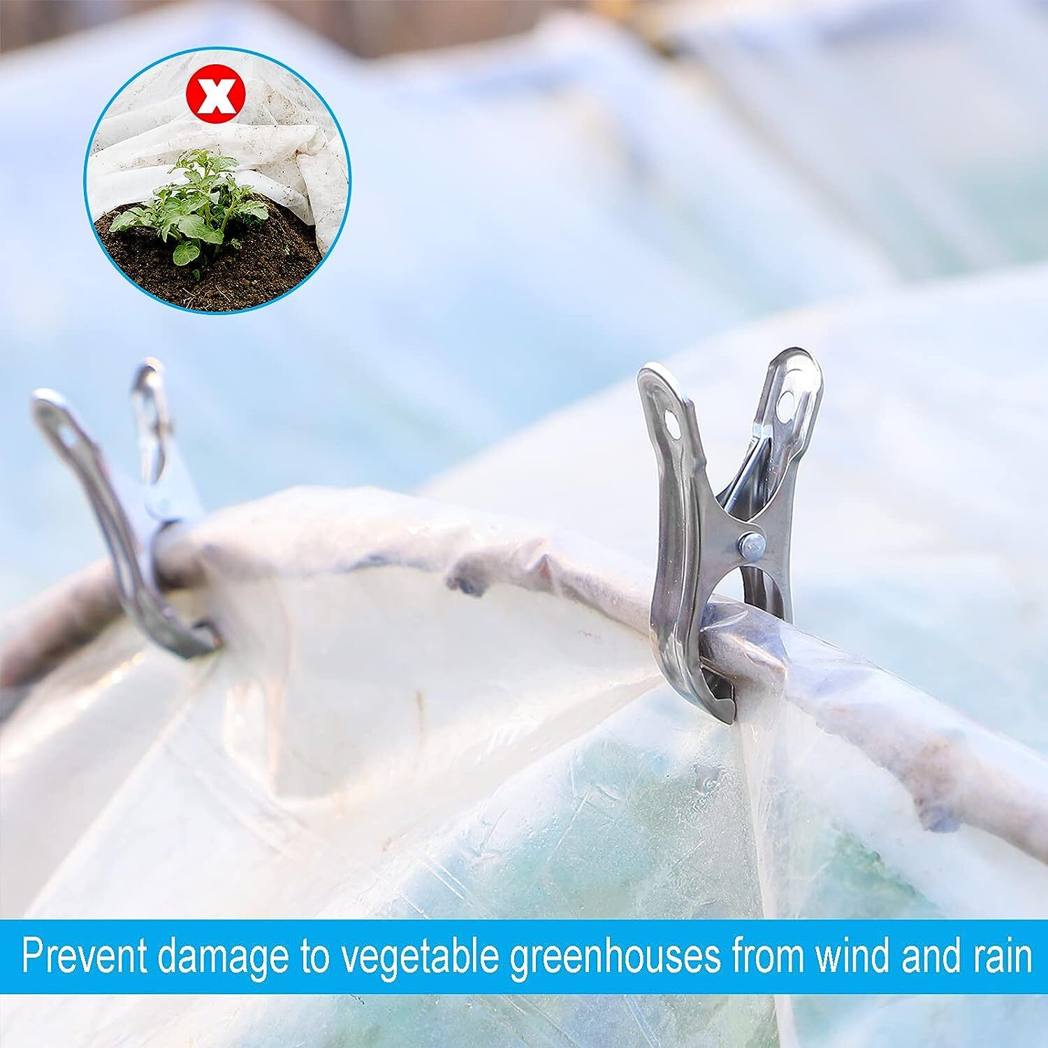 Drying Racks & Hangers: 6x STAINLESS STEEL CLOTHES PEGS Laundry Clips Washing Line Clothespin