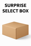 Building Toys: The Surprise Select Box