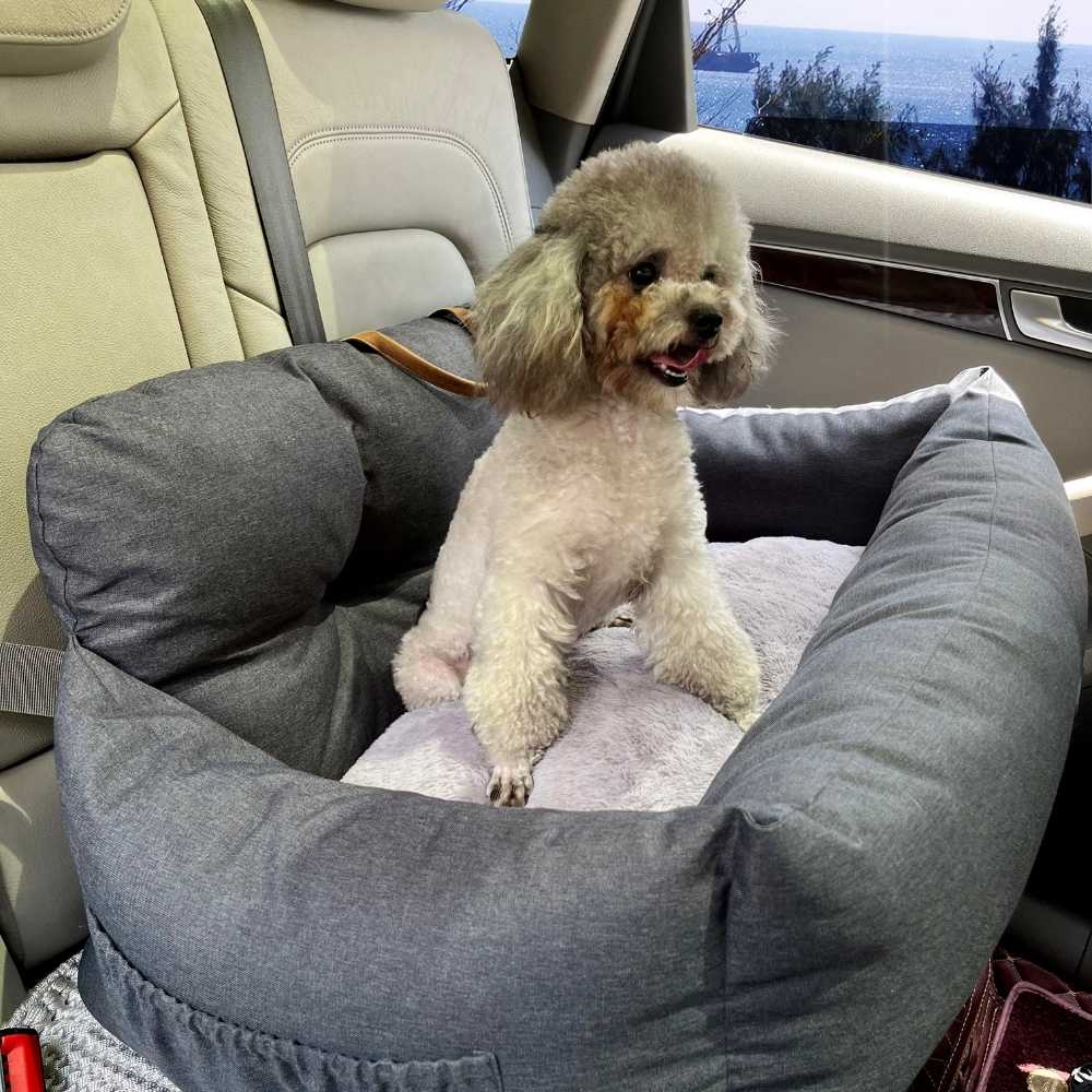 Cat Carriers & Crates: Premium Dog Booster Seat for Medium Pets
