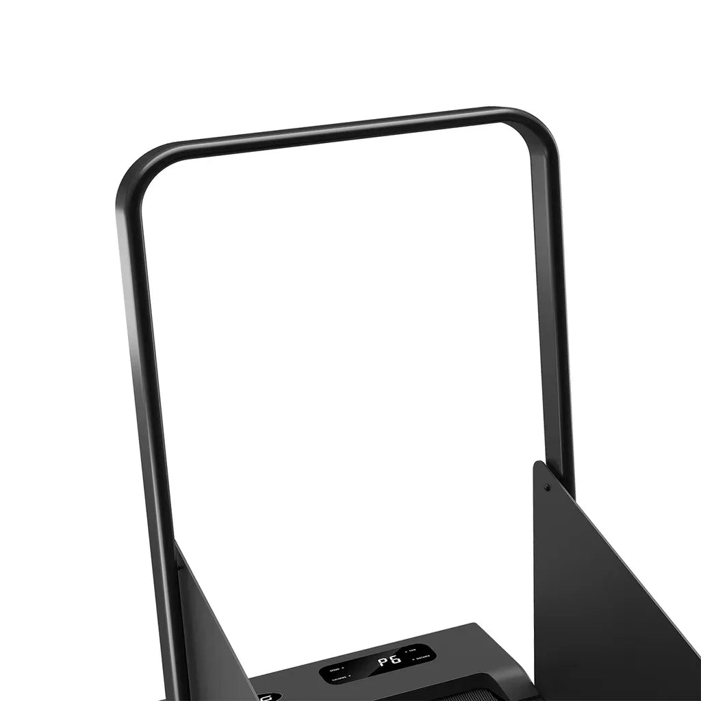 LSG PaceMate 2-in-1 Dog Treadmill & Walking Pad