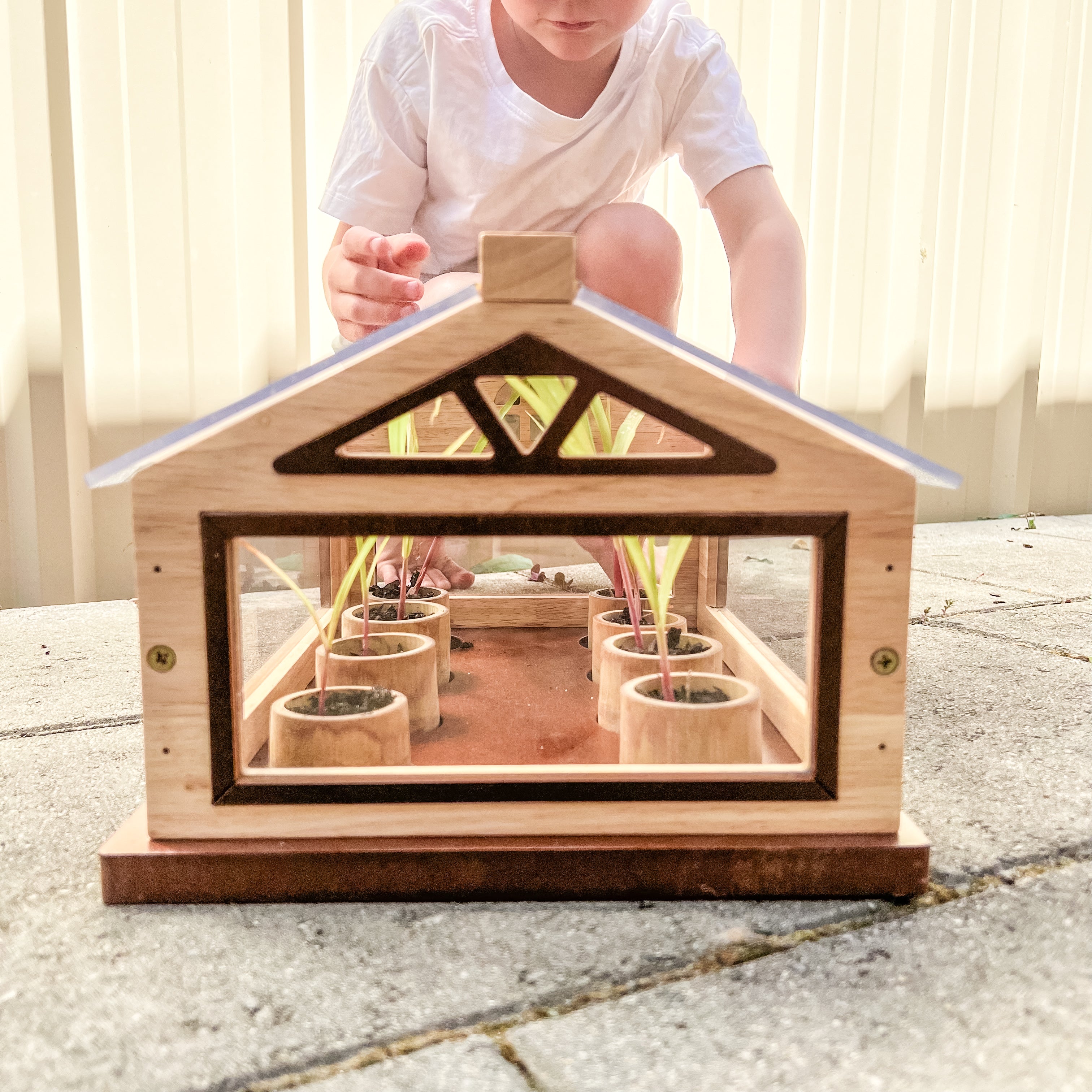 Greenhouses & Accessories: Plant More Trees Greenhouse