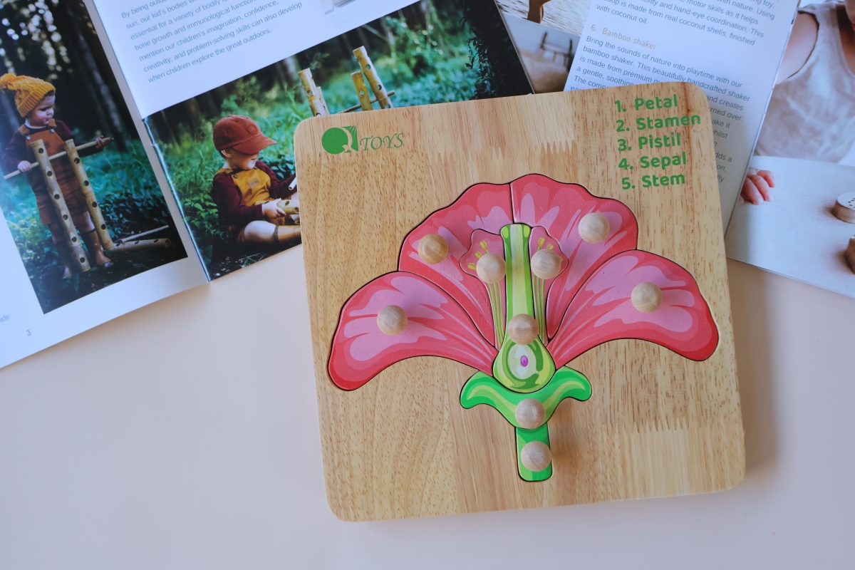 Activity Toys: Montessori Parts of a Flower Puzzle