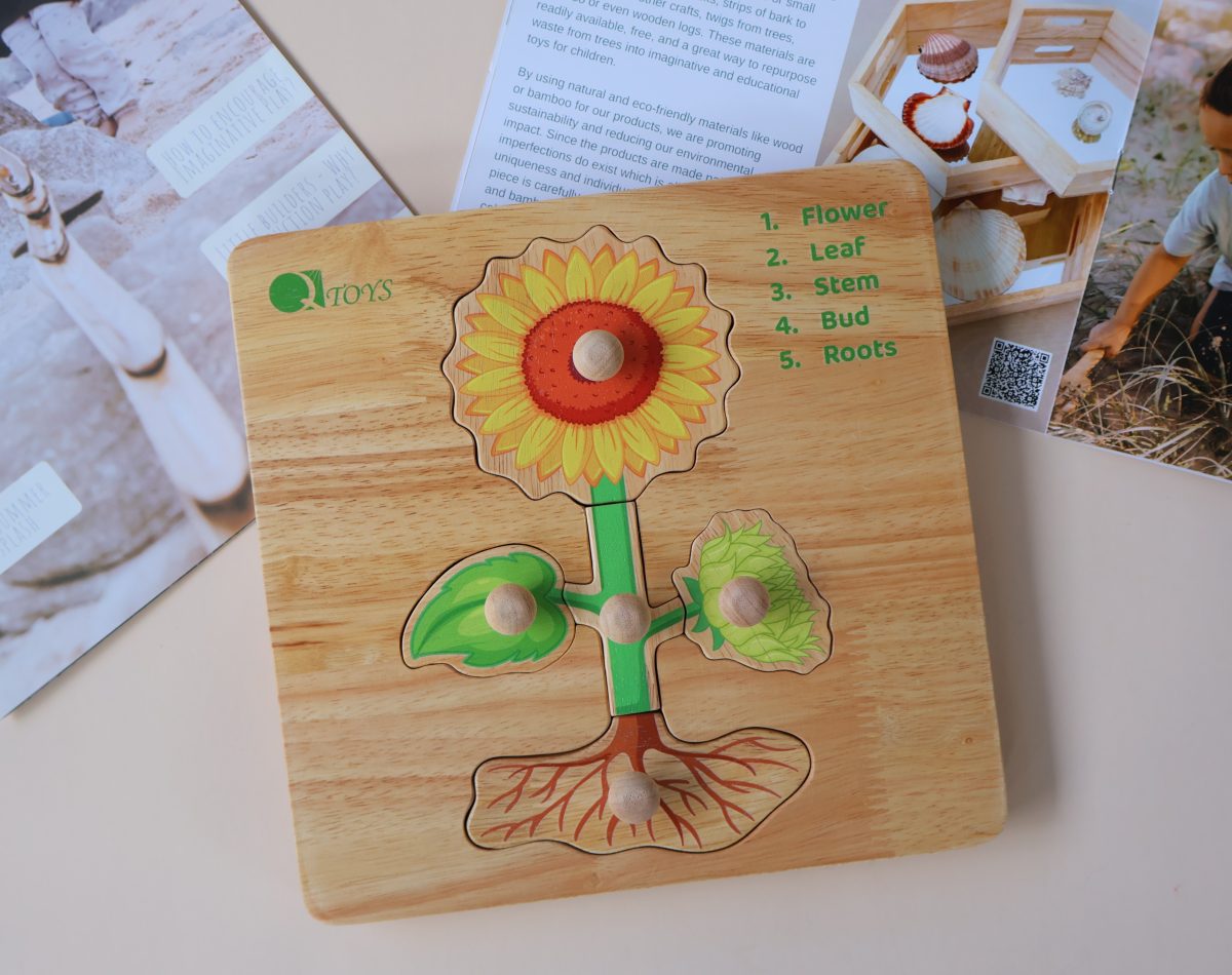 Activity Toys: Montessori Parts of a Plant Puzzle