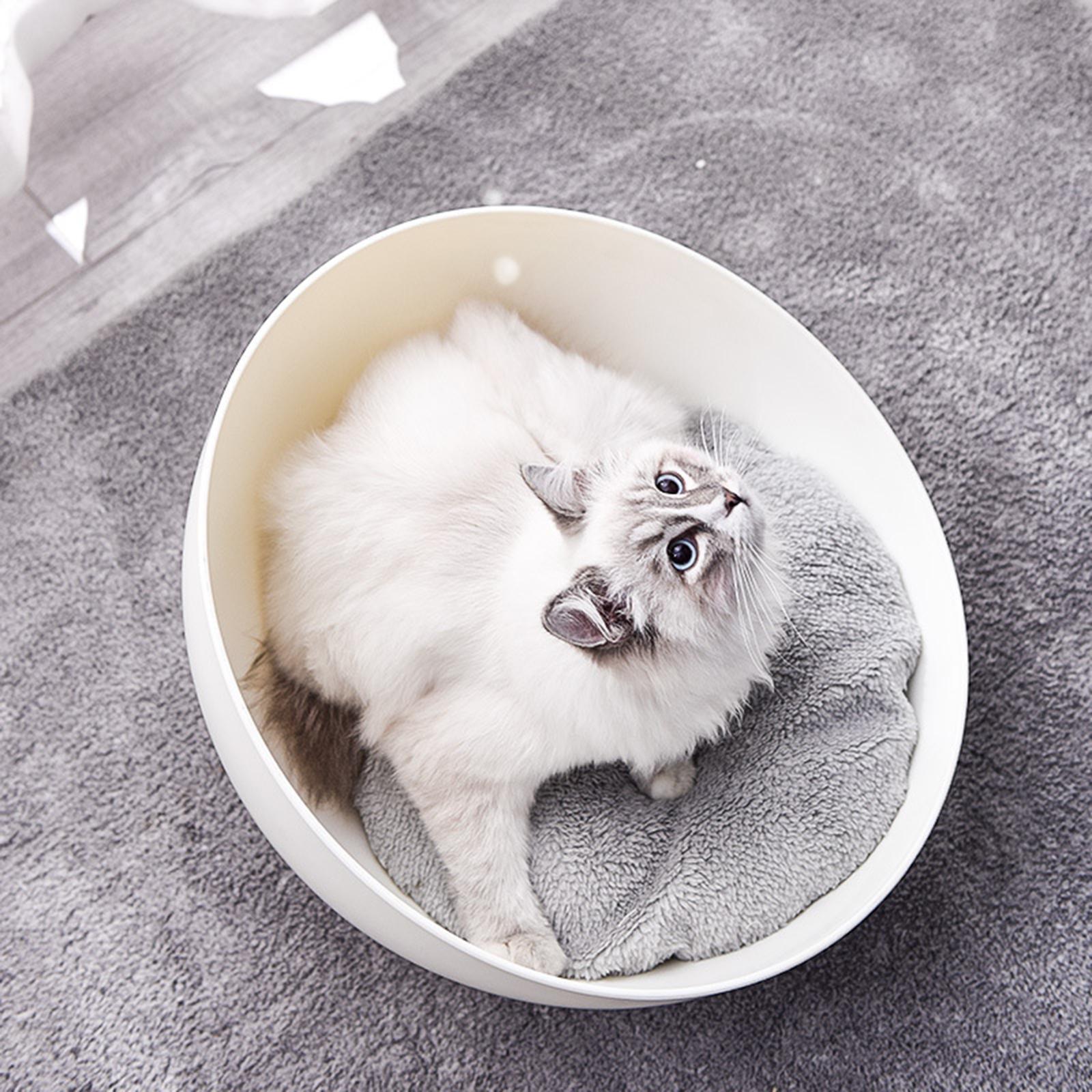 Cat Toys: Cat Sphere Bed Nest