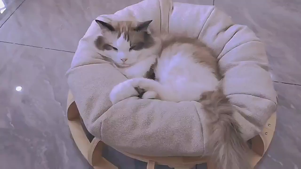 Cat Toys: Timber Gyro Cat Nest Bed