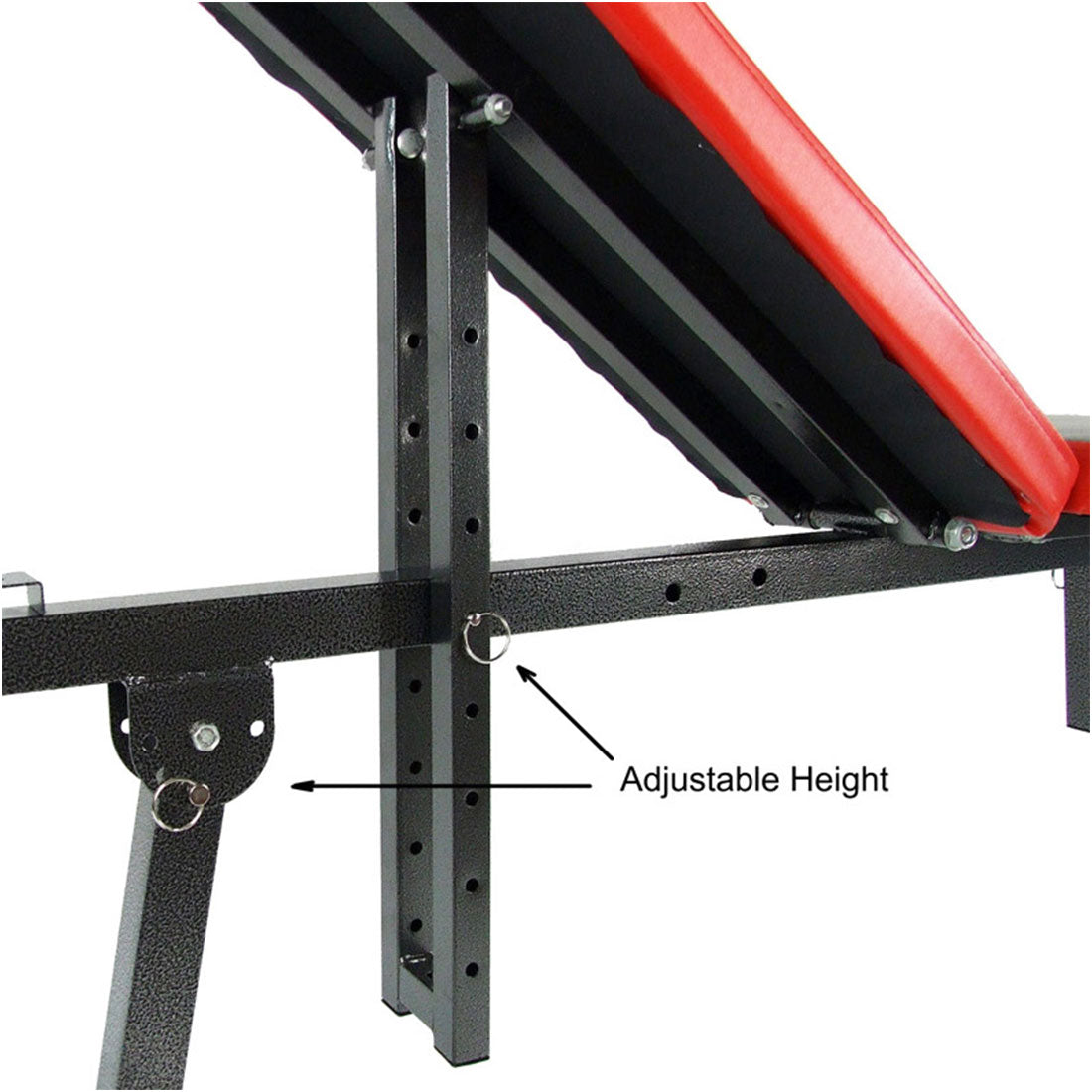 Exercise Benches: Adjustable Sit Up Weight FID Bench Fitness Flat Incline Decline Press Gym Home