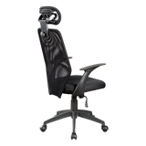 Office & Desk Chairs: Ergonomic Mesh Office Chair