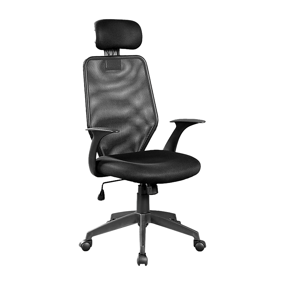 Office & Desk Chairs: Ergonomic Mesh Office Chair