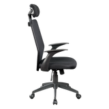 Office & Desk Chairs: Ergonomic Mesh Office Chair