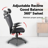 Office & Desk Chairs: Ergonomic Mesh Office Chair
