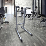 Gym Equipment & Accessories: Solid Dip Station Gym Fitness