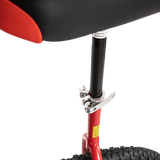 24'' Pro Circus Unicycle Bike