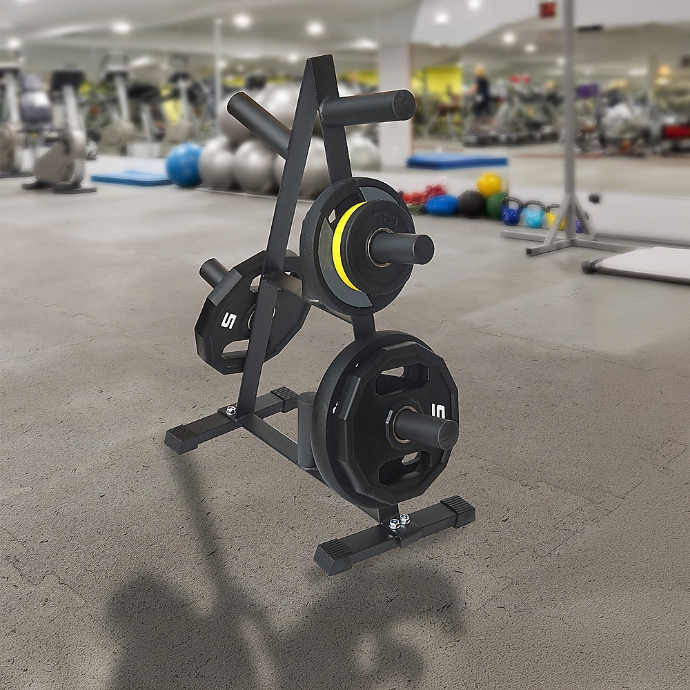 Gym Equipment & Accessories: Olympic Weight Plate Storage Rack 250kg Capacity