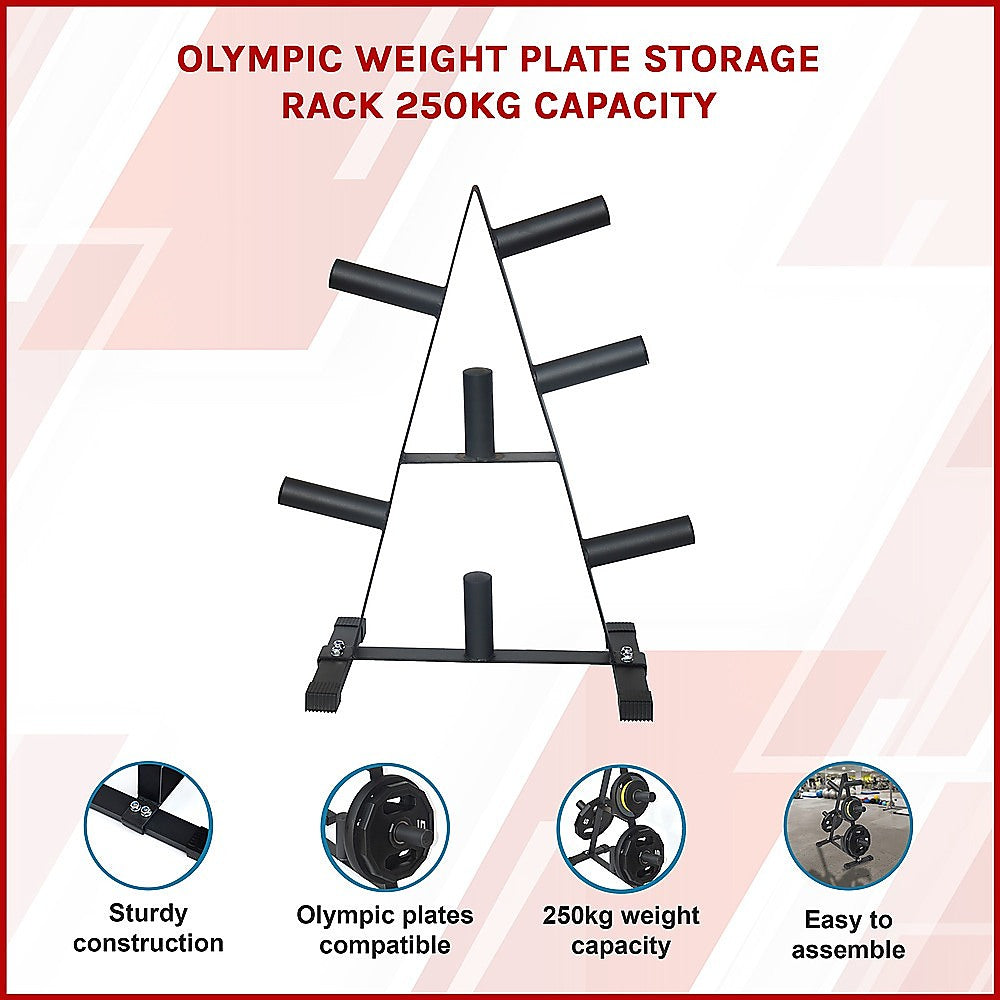 Gym Equipment & Accessories: Olympic Weight Plate Storage Rack 250kg Capacity