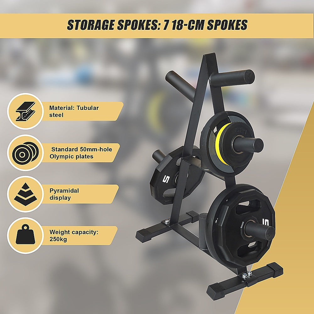 Gym Equipment & Accessories: Olympic Weight Plate Storage Rack 250kg Capacity