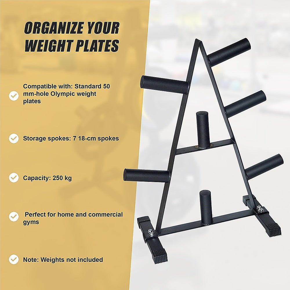 Gym Equipment & Accessories: Olympic Weight Plate Storage Rack 250kg Capacity