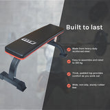 Gym Equipment & Accessories: Commercial Flat Weight Lifting Bench