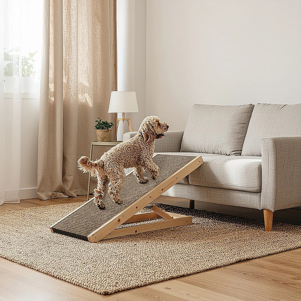 Dog Steps & Ramps: Dog Ramp Pet Ramp Adjustable Heights Portable