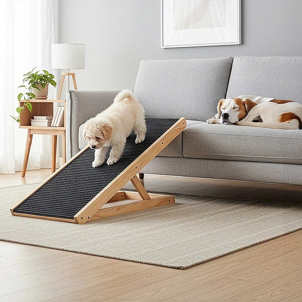Dog Steps & Ramps: Dog Ramp Pet Ramp Adjustable Heights Portable