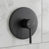 Tap & Sink Accessories: Shower Bath Mixer Tap Bathroom Electroplated Matte Black