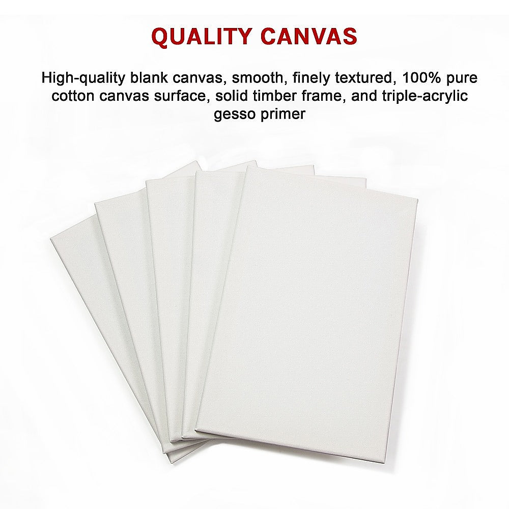 Arts & Crafts: 5 pack of 20x30cm Artist Blank Stretched Canvas Canvases Art Large White Range Oil Acrylic Wood