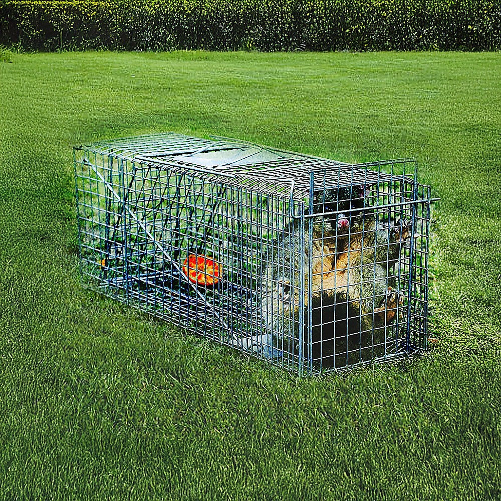 Animal Traps: Trap Humane Possum Cage Live Animal Safe Catch Rabbit Cat Hare Fox Bird