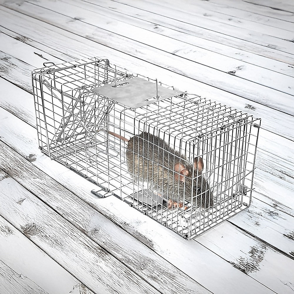 Animal Traps: Trap Humane Possum Cage Live Animal Safe Catch Rabbit Cat Hare Fox Bird