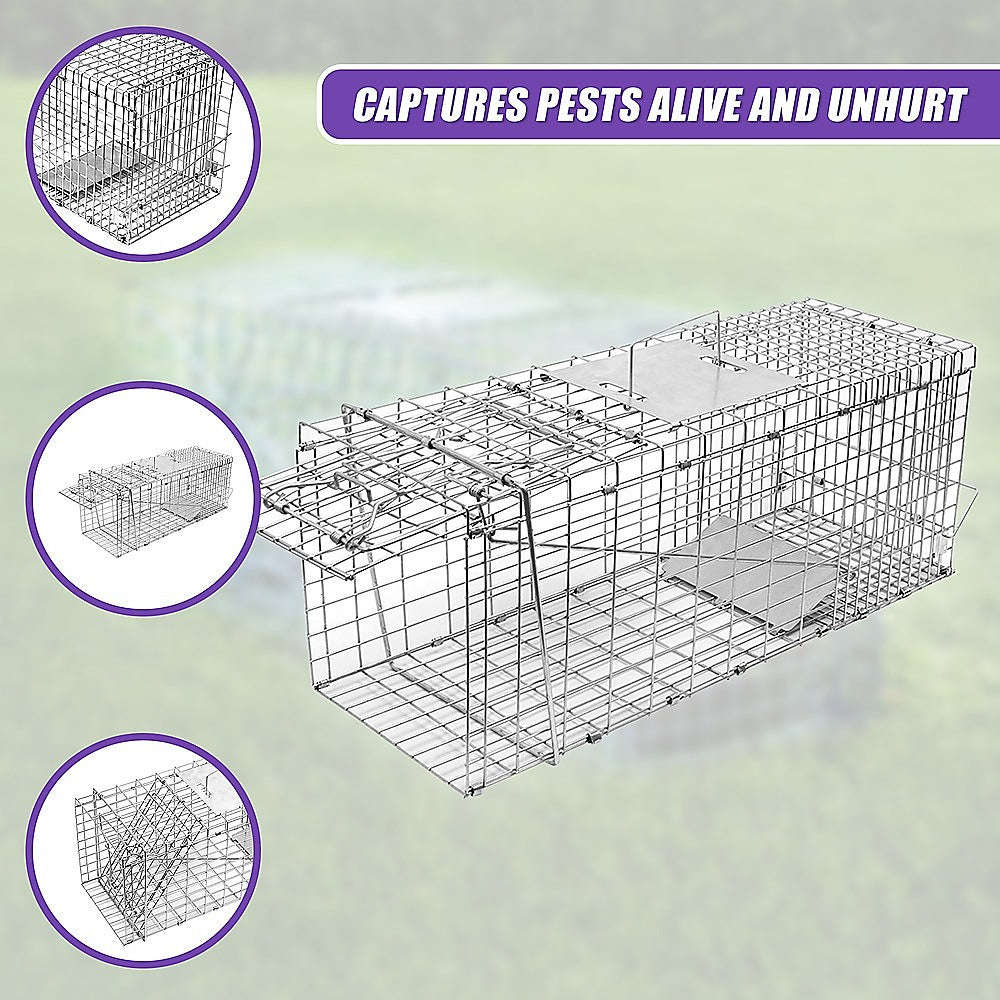 Animal Traps: Trap Humane Possum Cage Live Animal Safe Catch Rabbit Cat Hare Fox Bird