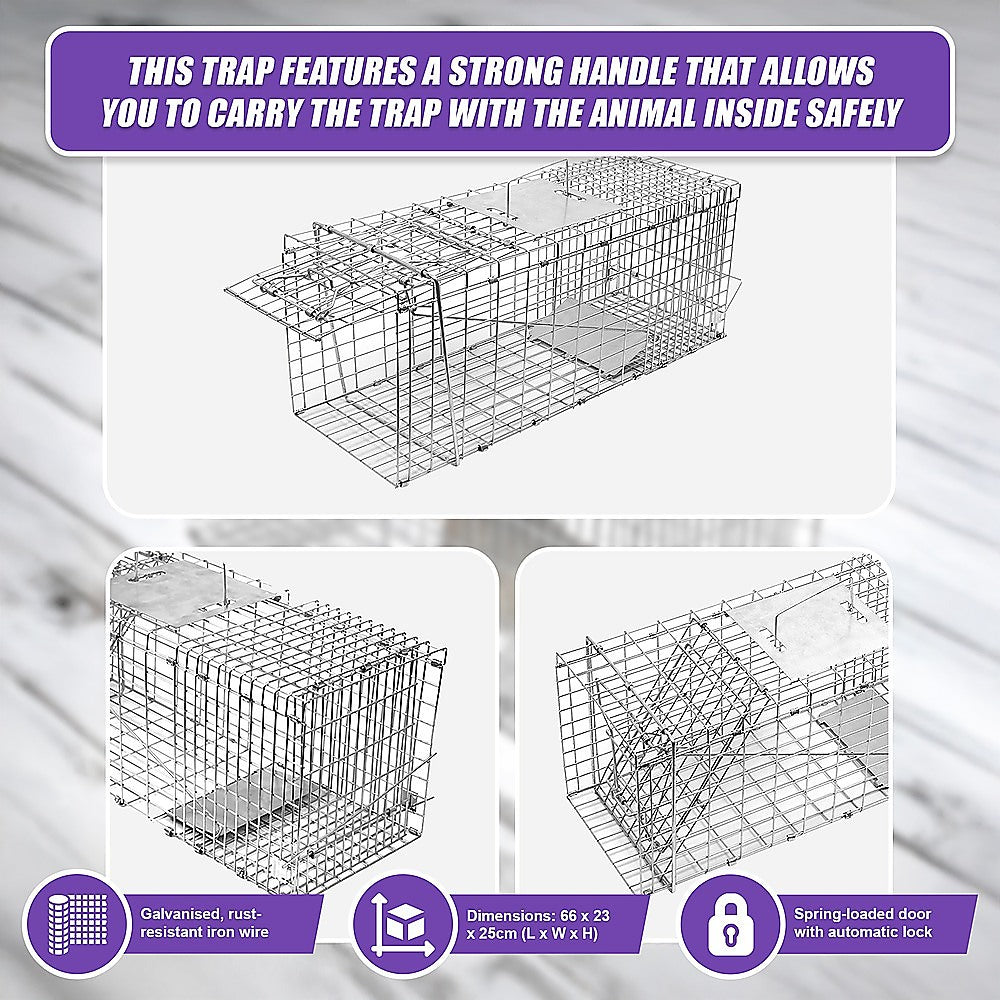 Animal Traps: Trap Humane Possum Cage Live Animal Safe Catch Rabbit Cat Hare Fox Bird