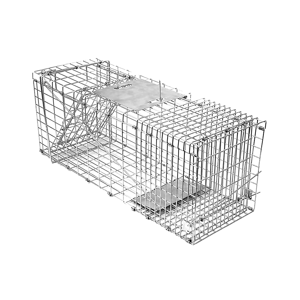 Animal Traps: Trap Humane Possum Cage Live Animal Safe Catch Rabbit Cat Hare Fox Bird