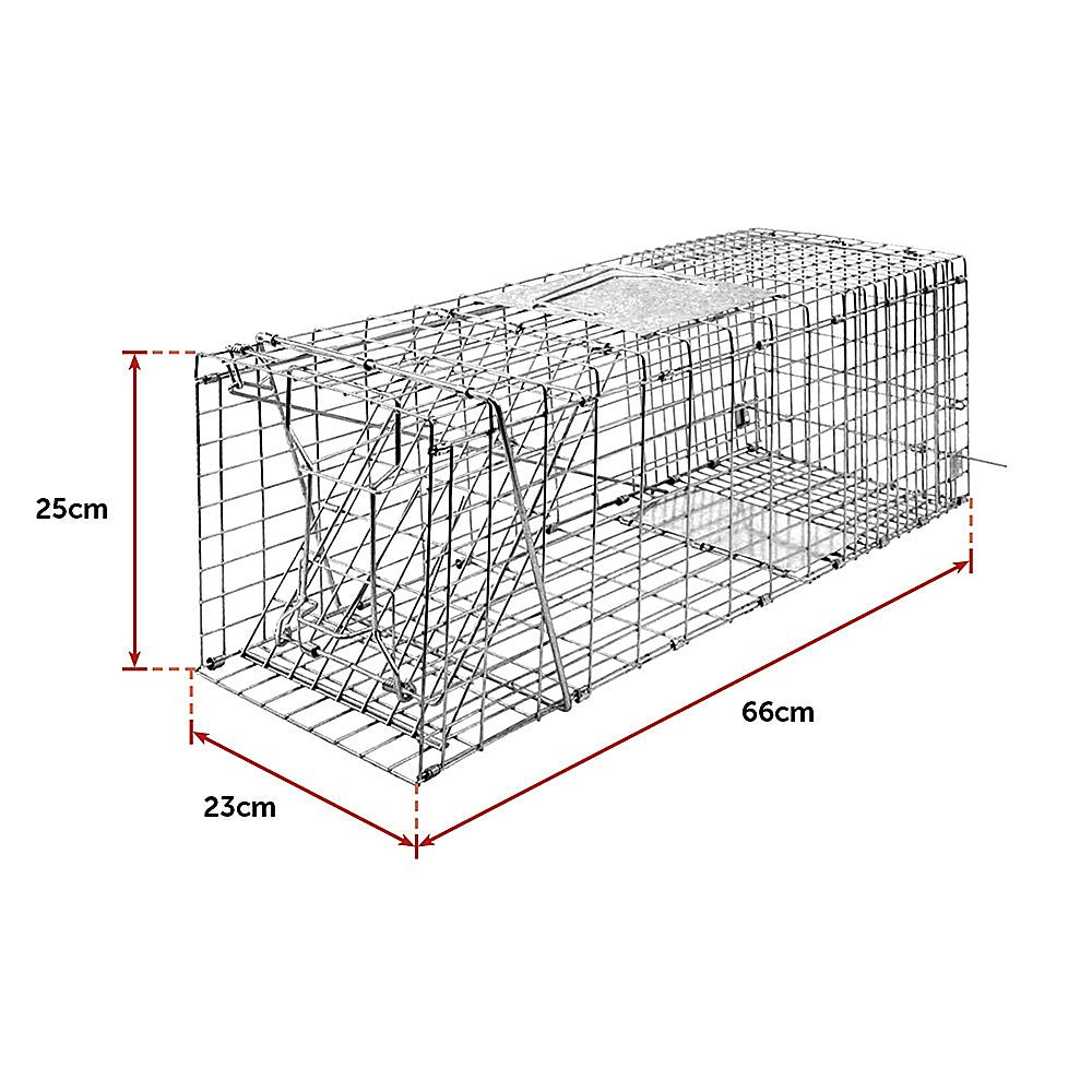 Animal Traps: Trap Humane Possum Cage Live Animal Safe Catch Rabbit Cat Hare Fox Bird