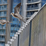 20x 50cm Bird Spike S304 wire Spikes Eaves Pigeon Gull Starling 10M