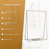 Retail: Gold Clothing Retail Shop Commercial Garment Display Rack