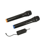 2 x Wireless Microphone Handheld Cordless Professional Mic Karaoke Receiver