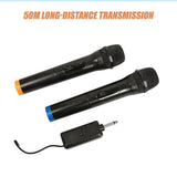 2 x Wireless Microphone Handheld Cordless Professional Mic Karaoke Receiver