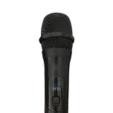 2 x Wireless Microphone Handheld Cordless Professional Mic Karaoke Receiver