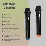 2 x Wireless Microphone Handheld Cordless Professional Mic Karaoke Receiver