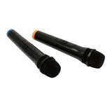 2 x Wireless Microphone Handheld Cordless Professional Mic Karaoke Receiver