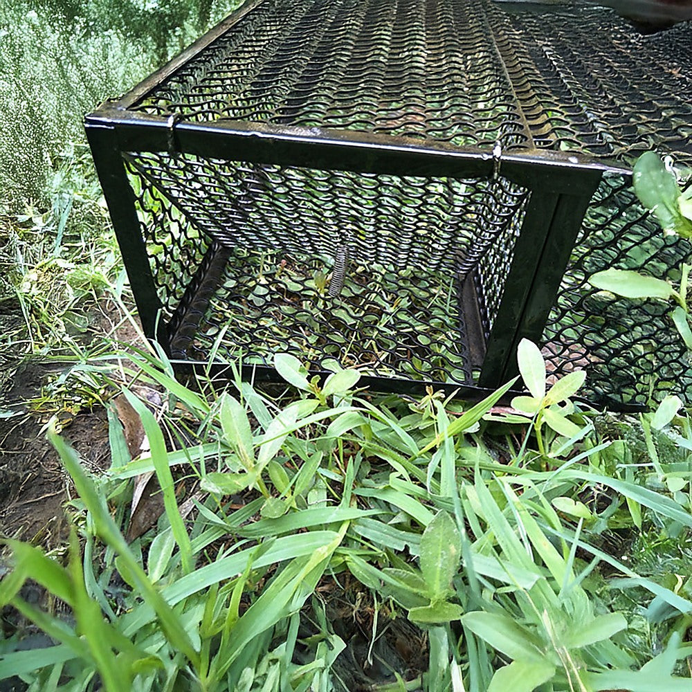 Animal Traps: Humane Snake Trap Remove Small to Medium Snakes 2 Doors