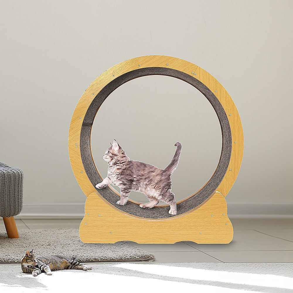Cat Toys: Cat Running Wheel w/ Carpet Runway Cat Exercise Wheel for Fitness Cat Treadmill