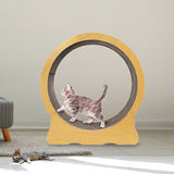 Cat Toys: Cat Running Wheel w/ Carpet Runway Cat Exercise Wheel for Fitness Cat Treadmill