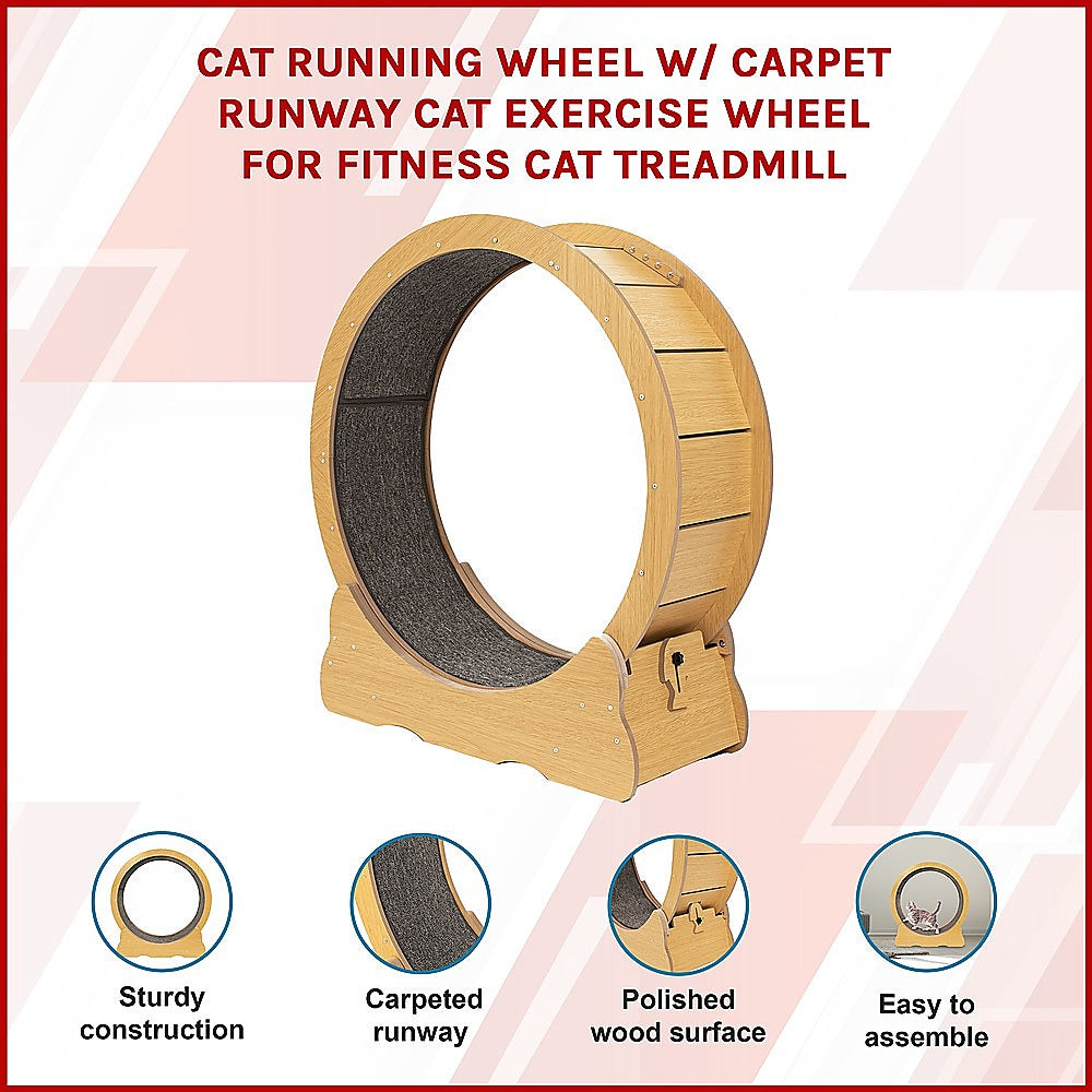 Cat Toys: Cat Running Wheel w/ Carpet Runway Cat Exercise Wheel for Fitness Cat Treadmill